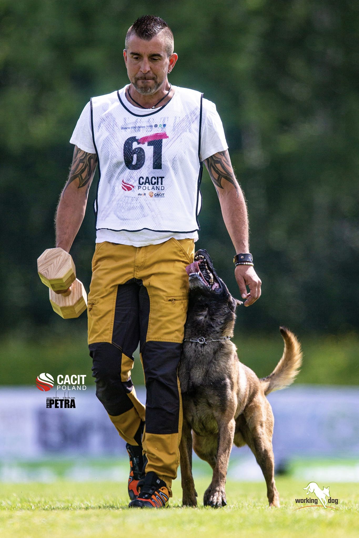 knut-fuchs.jpg